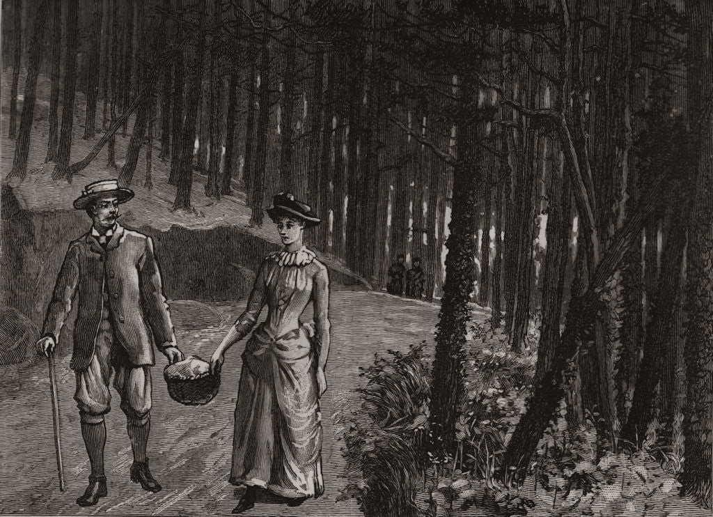 Lower road from Tarasp to Shuls. Switzerland 1888 old antique print picture